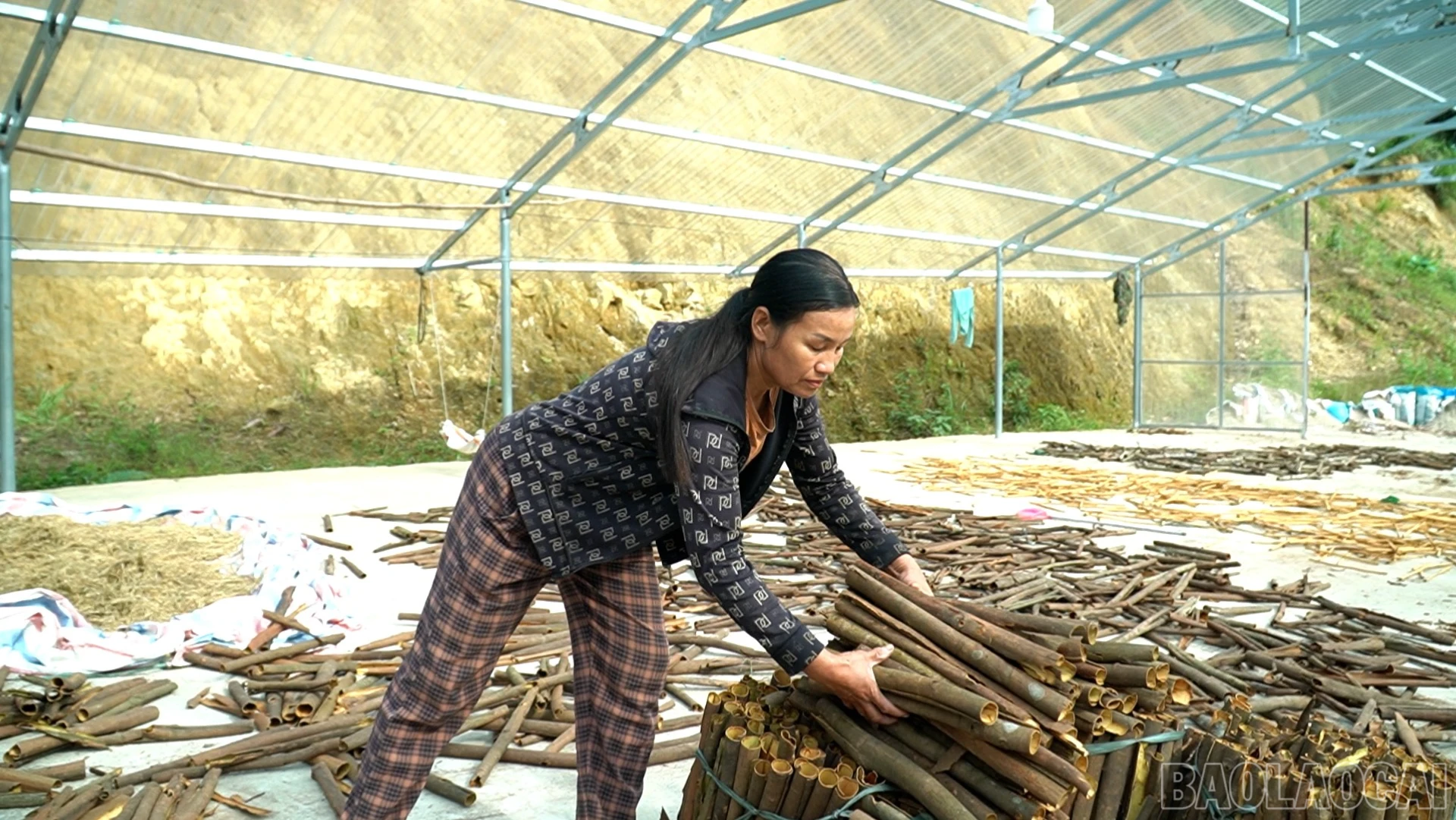 baolaocai-br_mai-che-ba-tham-2845.png