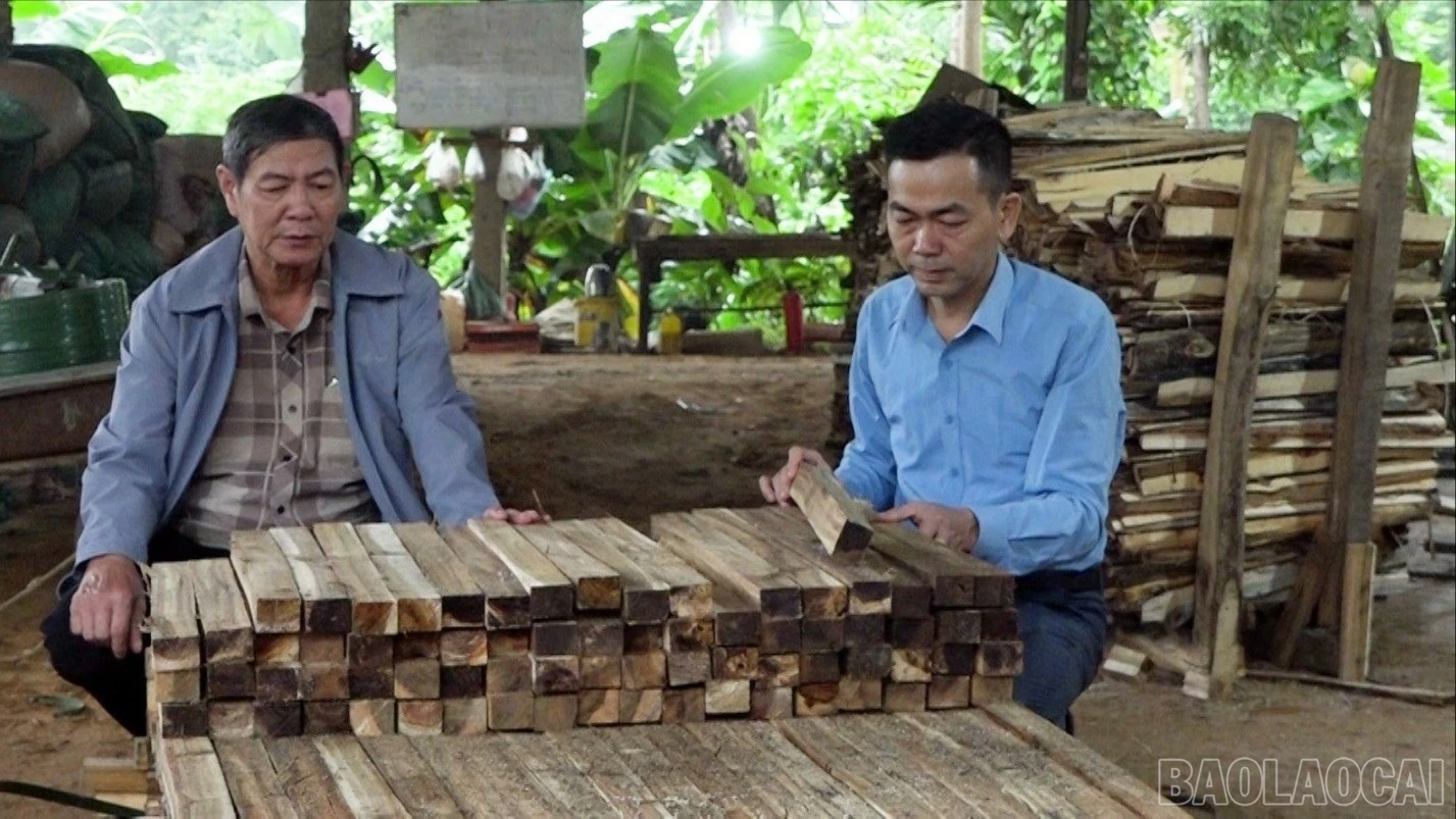 baolaocai-br_tan-nguyen3-9603-7269.jpg