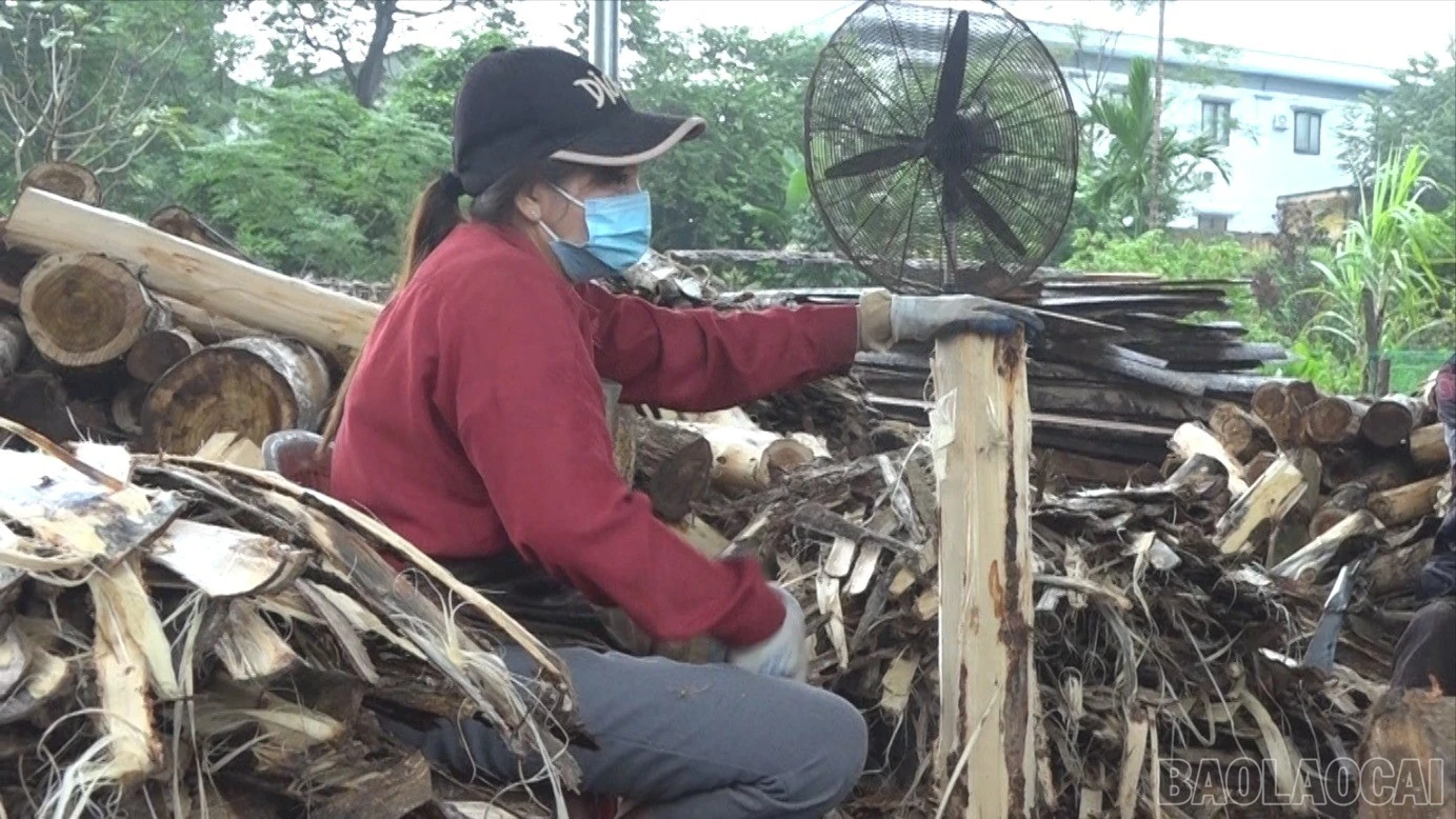 baolaocai-br_htx-tan-nguyen-578-2997.jpg
