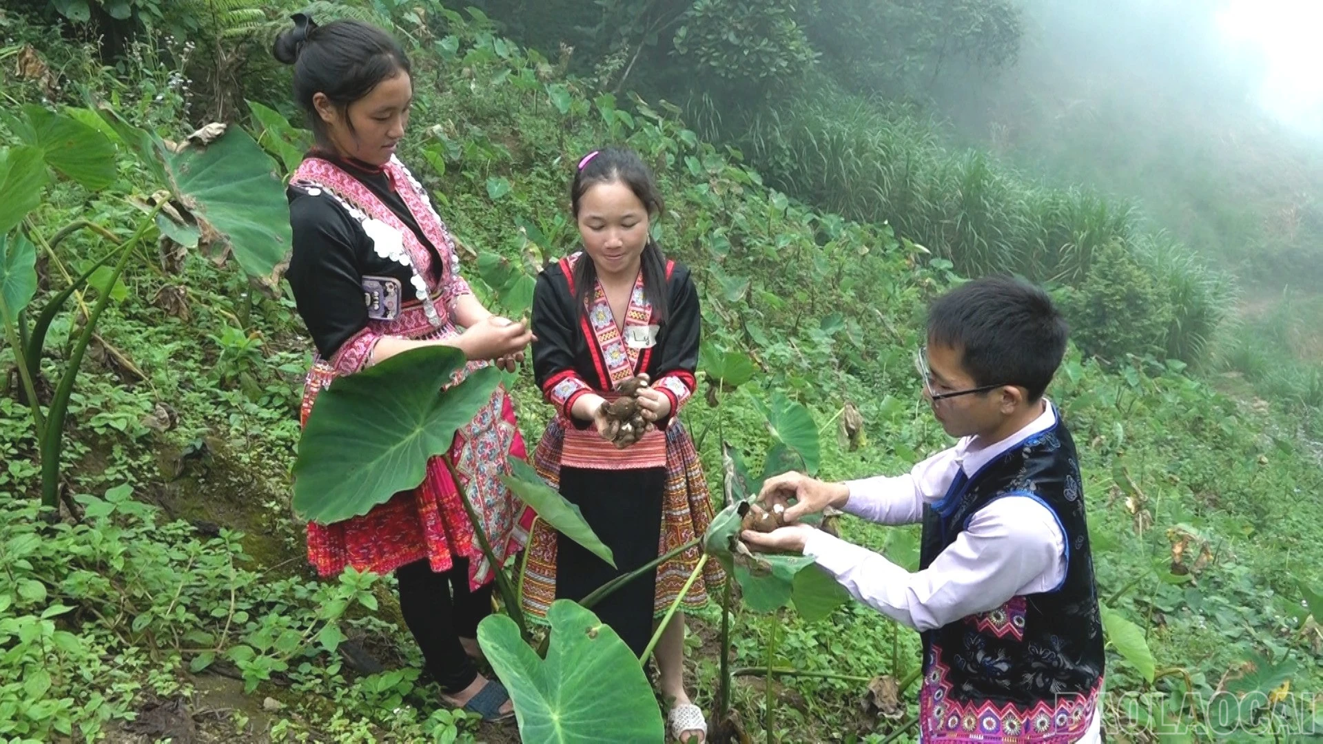 baolaocai-br_khoai-so-nuong-6942.jpg