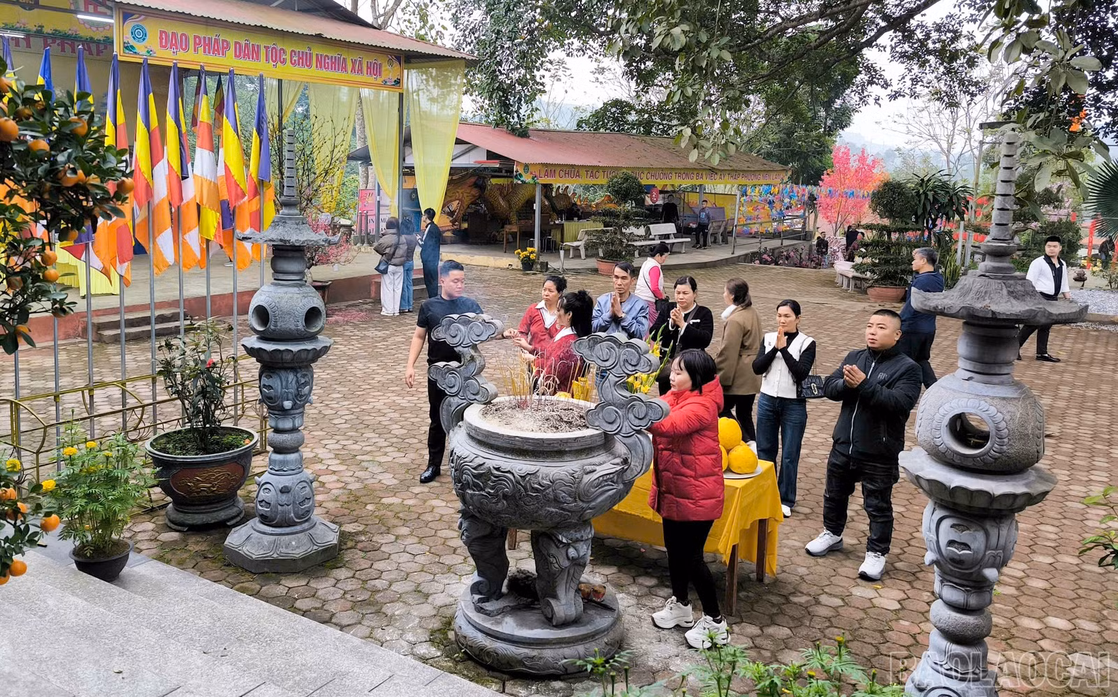 baolaocai-br_z7544113420272-9bb8858fa1d0188ff0f815999ae8bd2b-1528.jpg