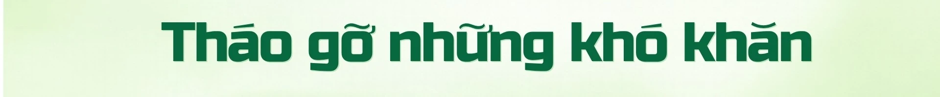 tu-uu-dai-ve-thue-1.jpg