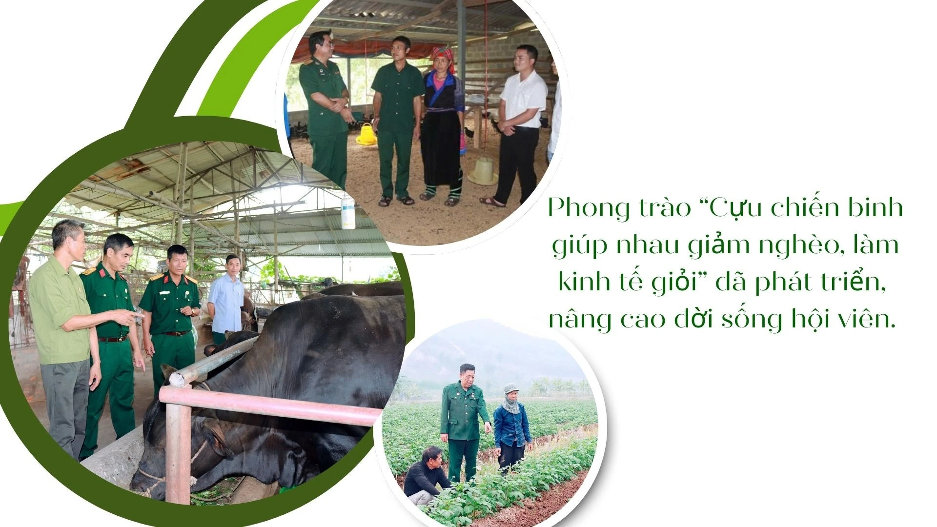 green-modern-hydroponic-farming-innovations-presentation-98.jpg