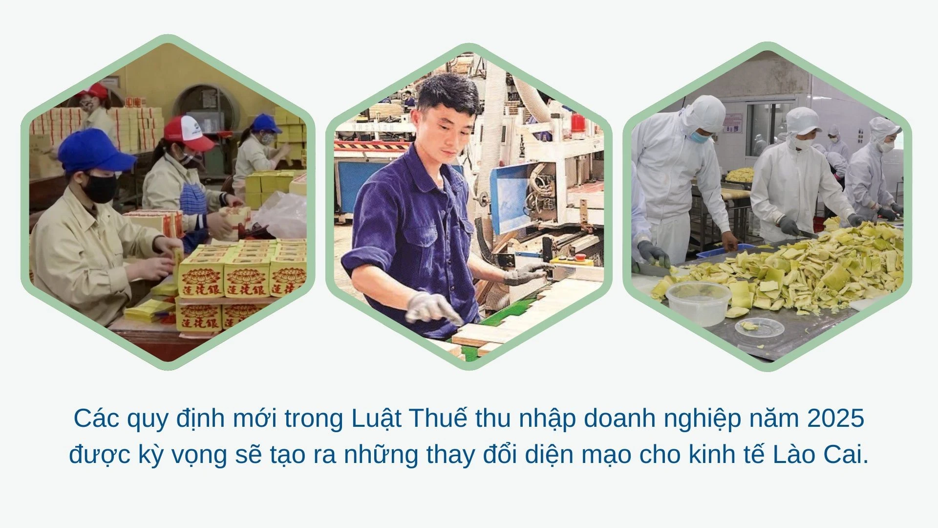green-modern-hydroponic-farming-innovations-presentation-2026-04-11t210824749.jpg