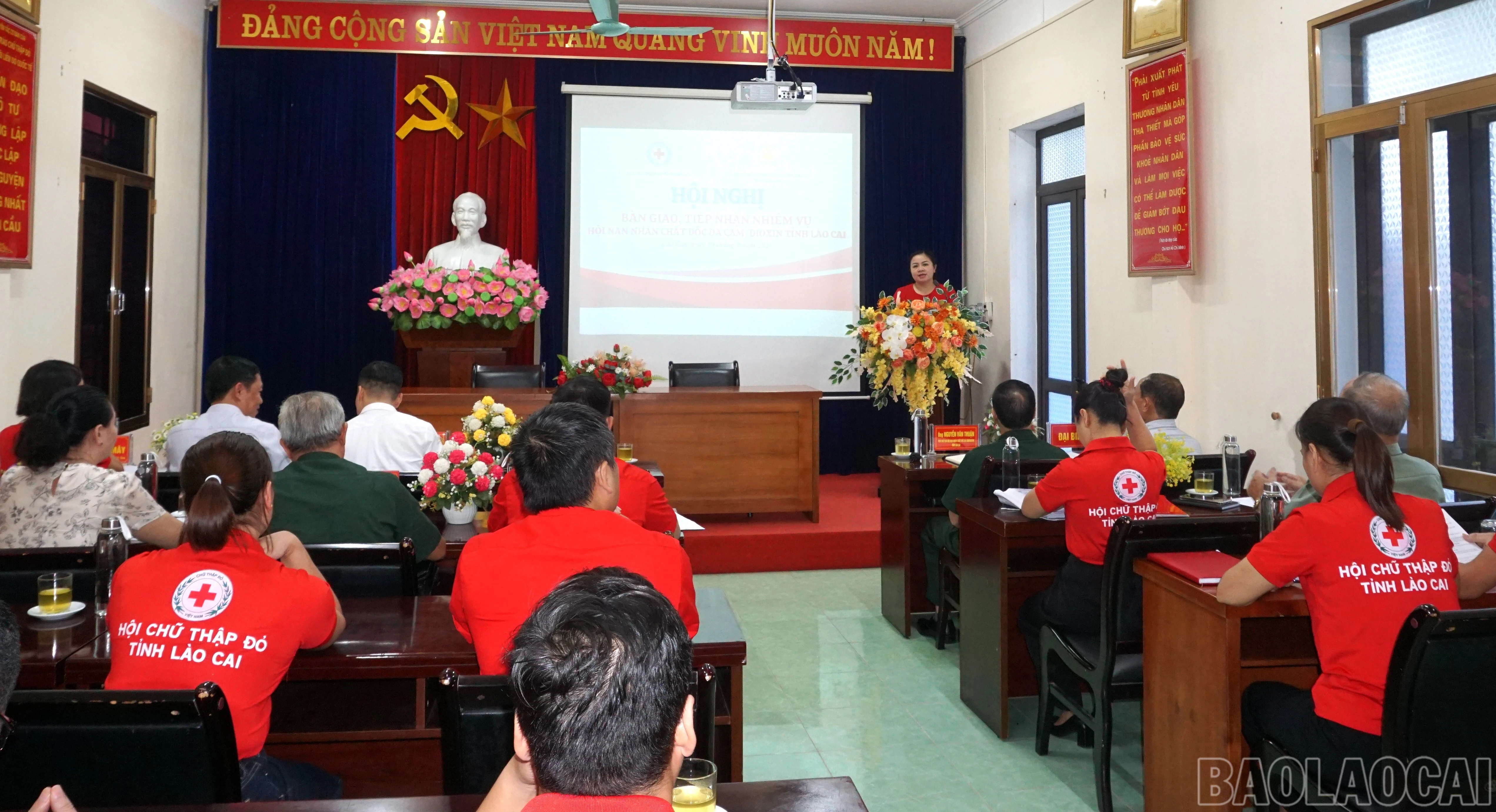 baolaocai-br_quang-canh.jpg