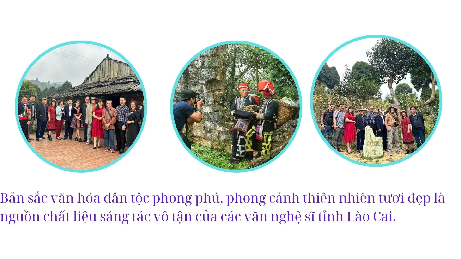 trang-3-da-sua.jpg