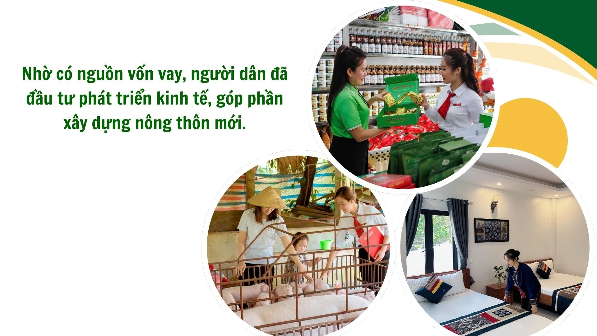 green-modern-hydroponic-farming-innovations-presentation-89.jpg