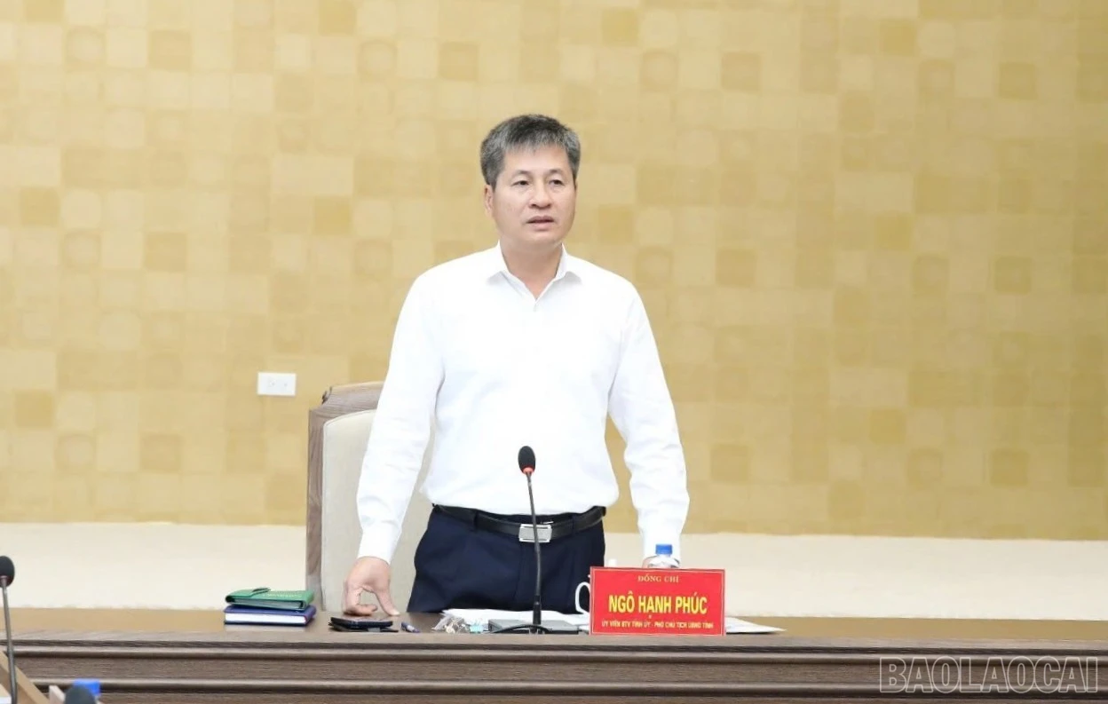 baolaocai-br_z7757648411104-bf09e5655d994a117387206033b6b9e7-7379.jpg
