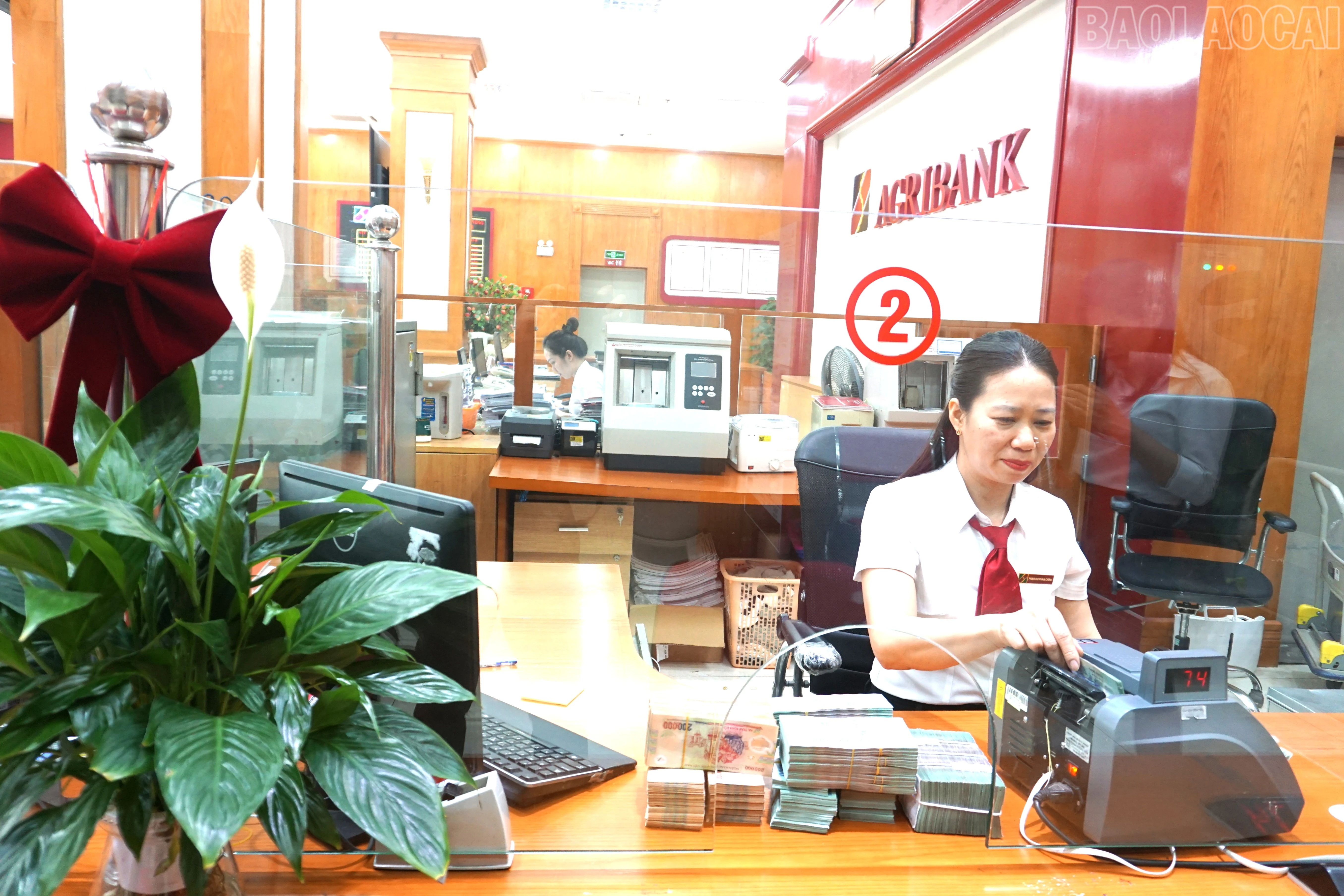 baolaocai-tr_chi-chinh.jpg