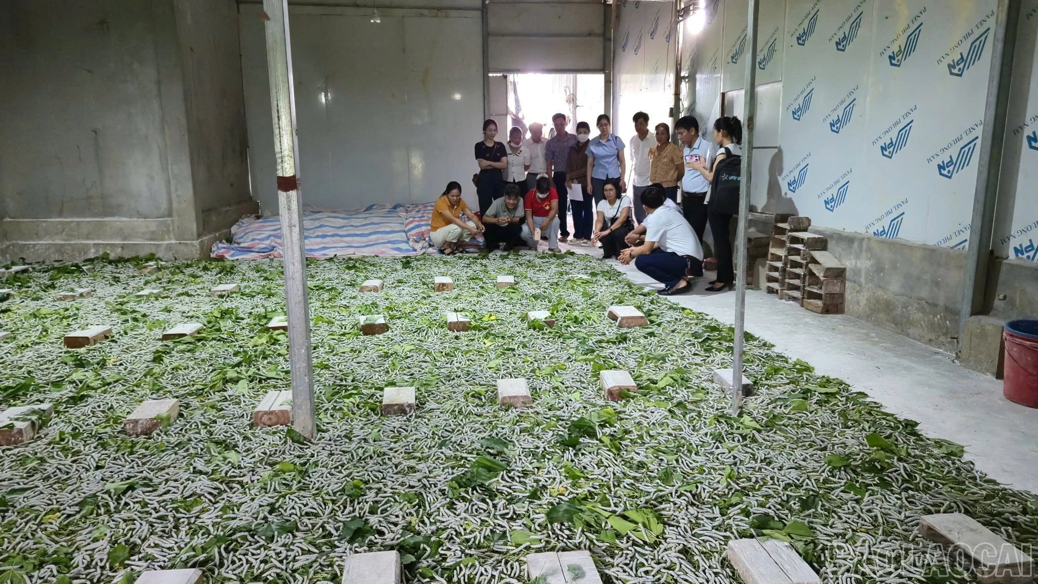baolaocai-br_dau-lop-giam-ngheo.jpg