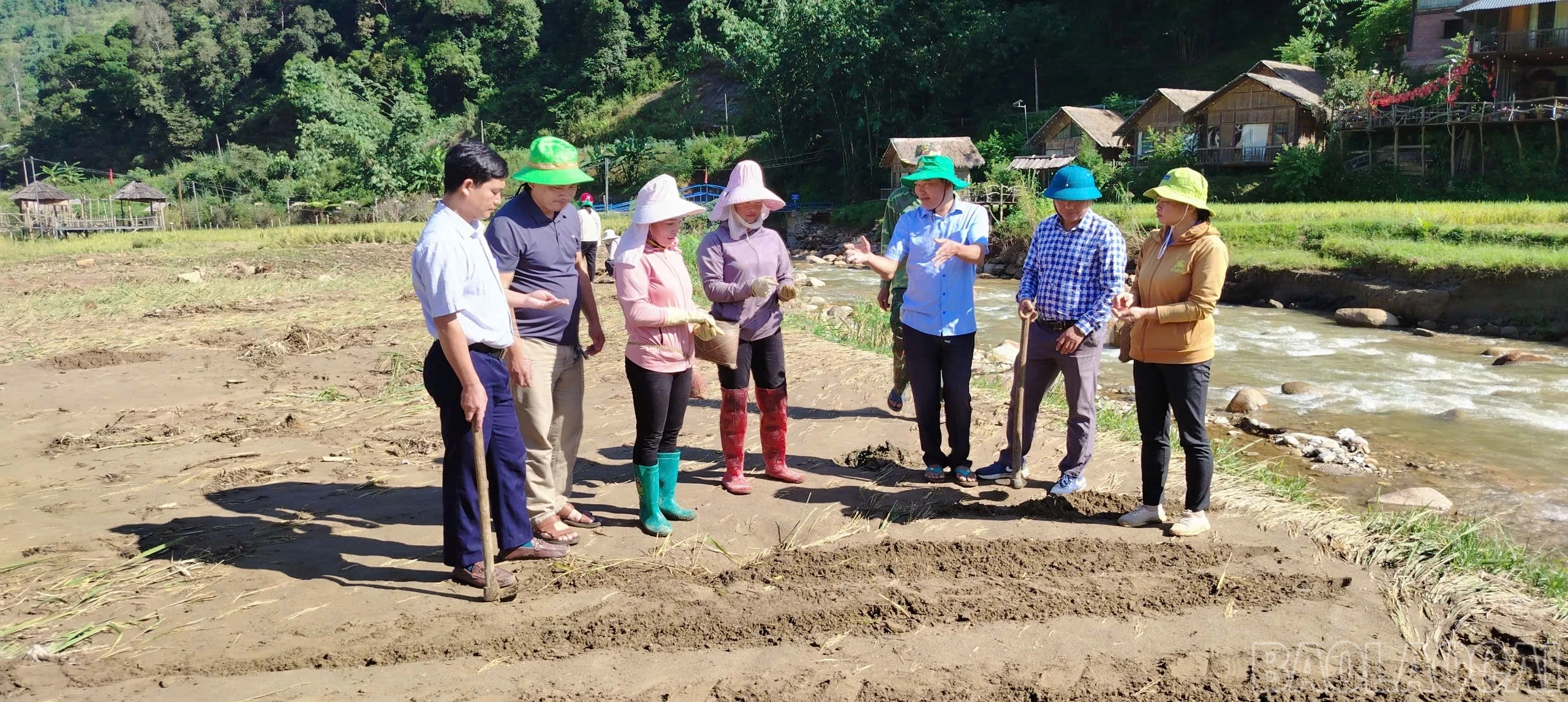 baolaocai-br_trong-ngo-sinh-khoi.jpg