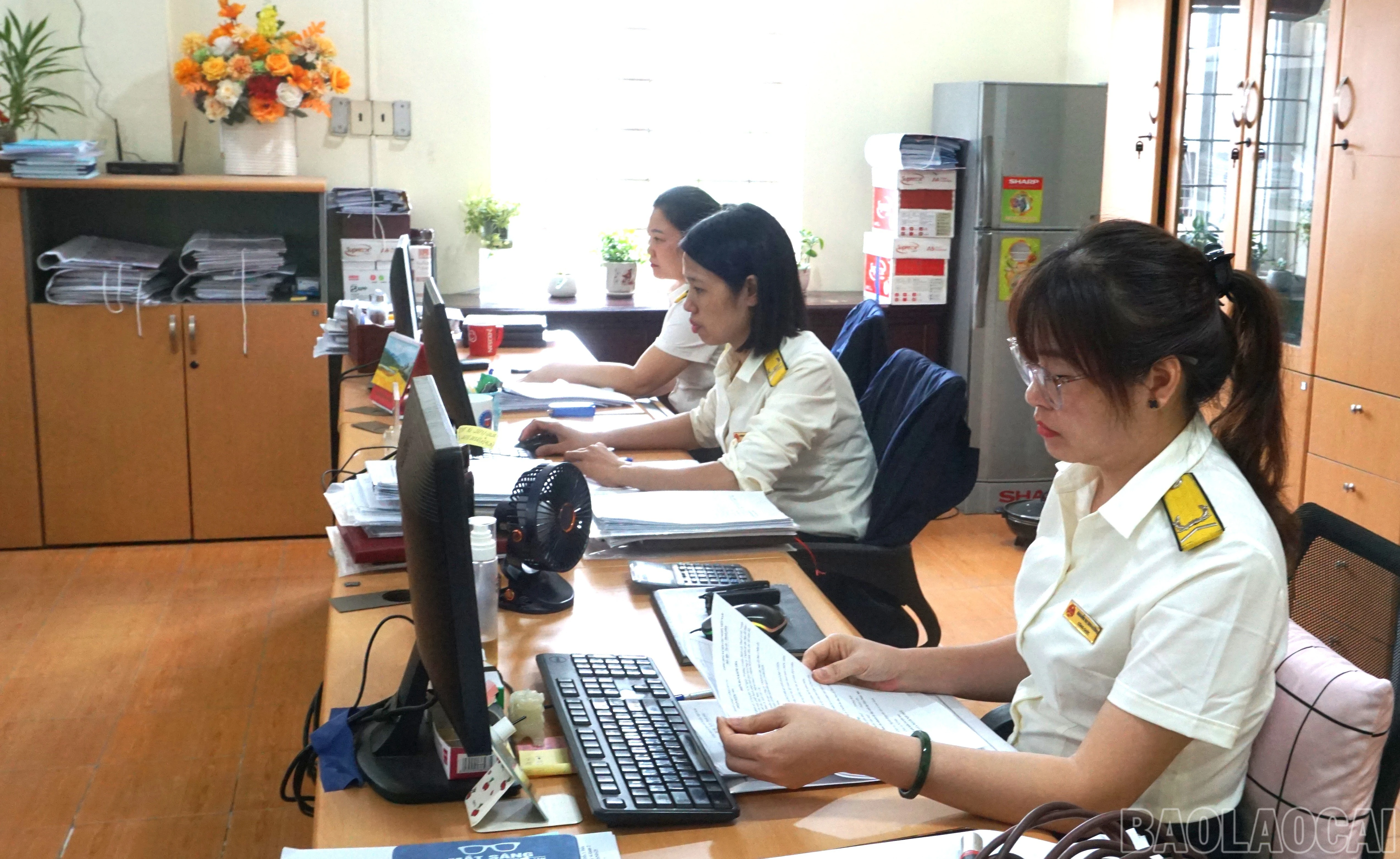 baolaocai-br_dsc00732.jpg