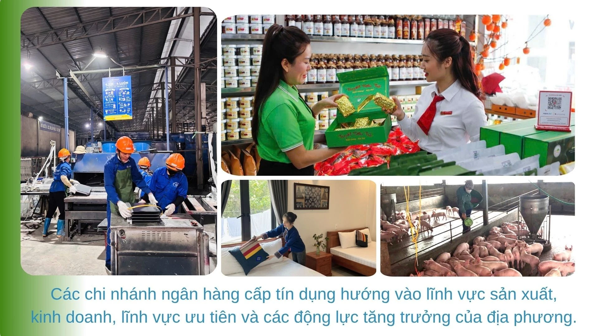 green-modern-hydroponic-farming-innovations-presentation-2026-04-17t132000329.jpg