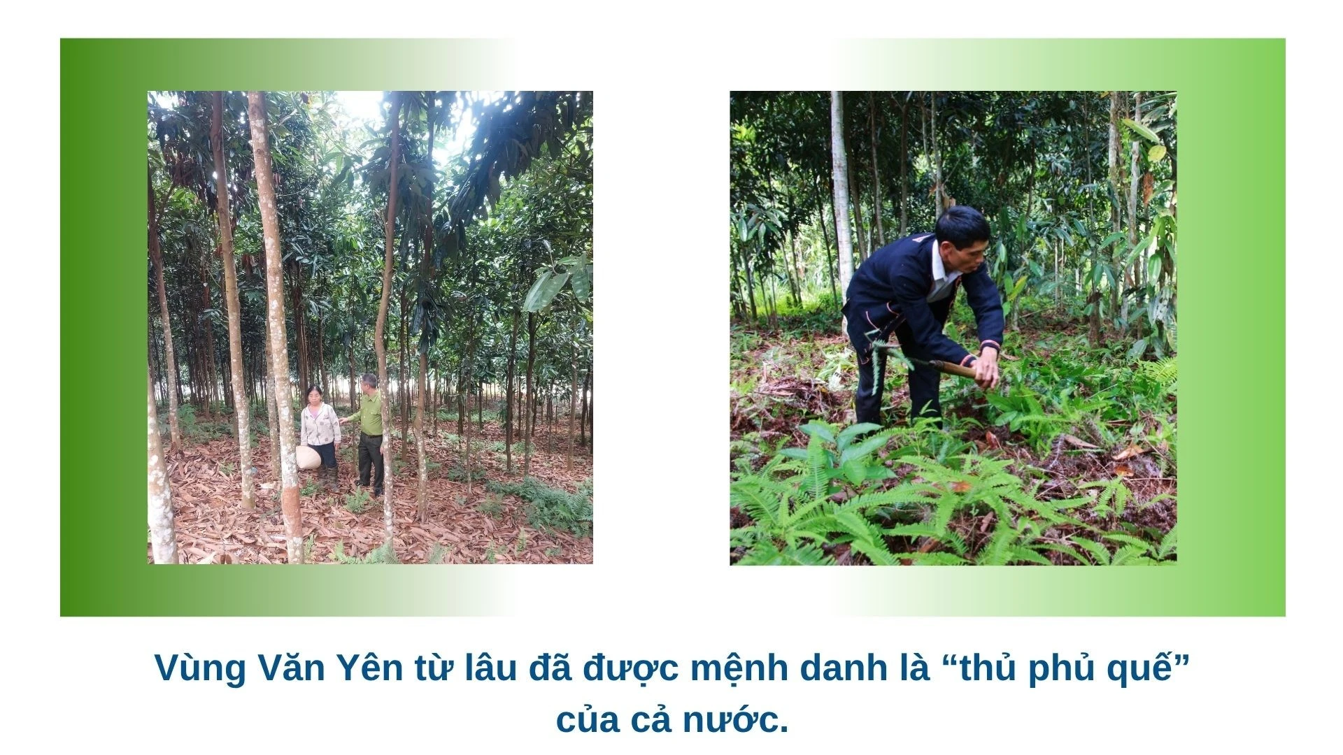 green-modern-hydroponic-farming-innovations-presentation-2026-04-21t095749025.jpg