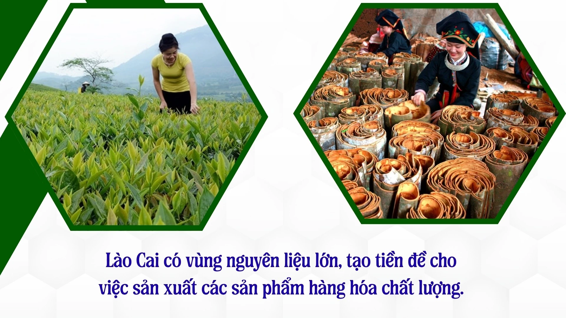 noi-dung-30.jpg