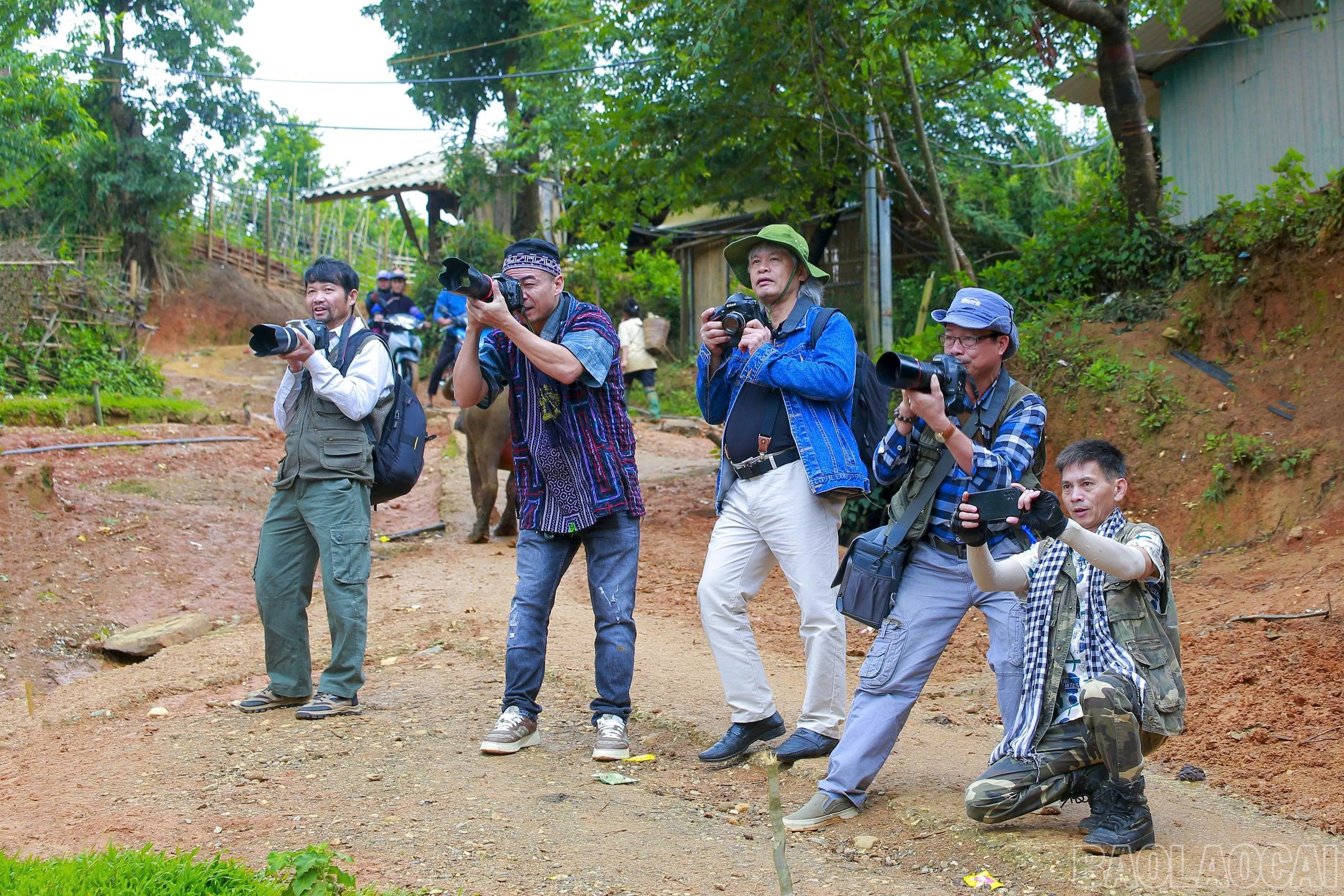 baolaocai-br_pham-pa-ri.jpg