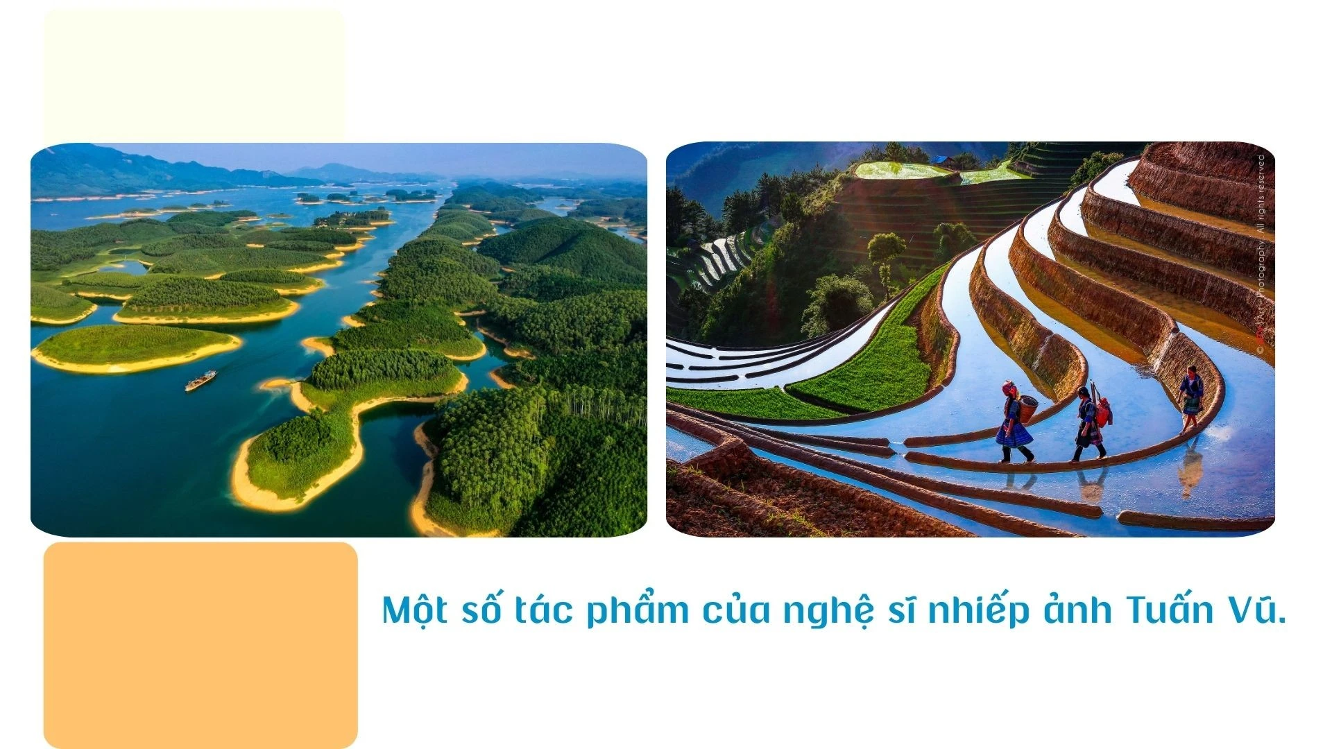 green-modern-hydroponic-farming-innovations-presentation-2026-02-14t202727099.jpg