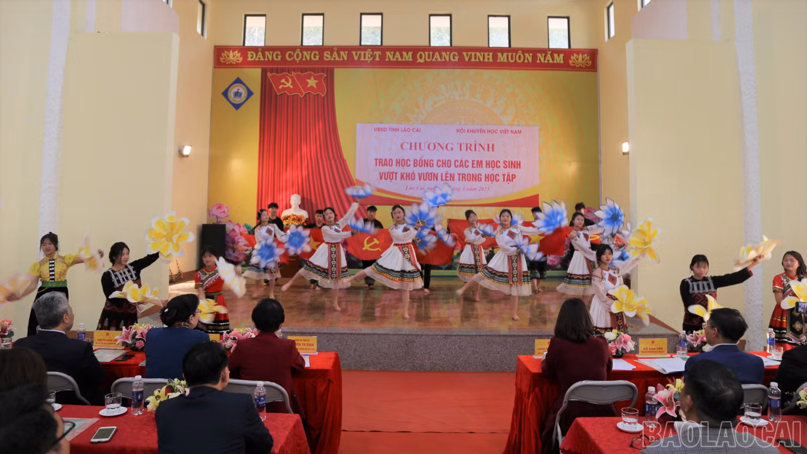 baolaocai-br_img-0138.jpg
