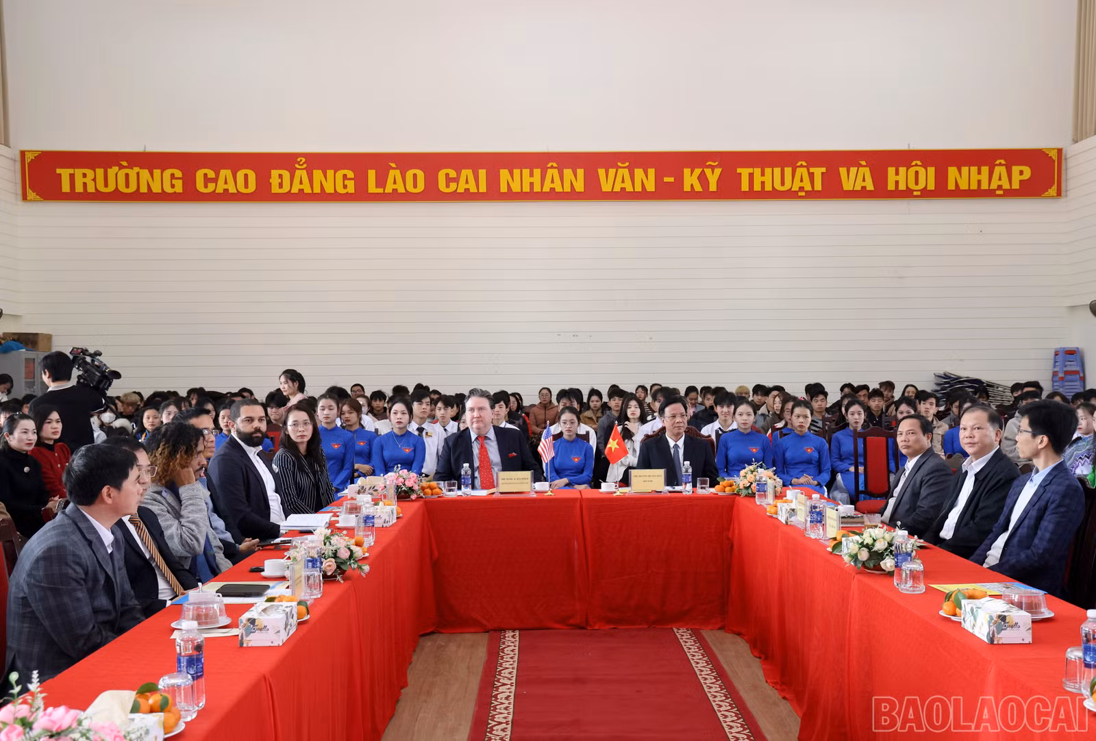 baolaocai-br_cd726c59-2c2f-4654-add5-c3dccd2ae886.jpg