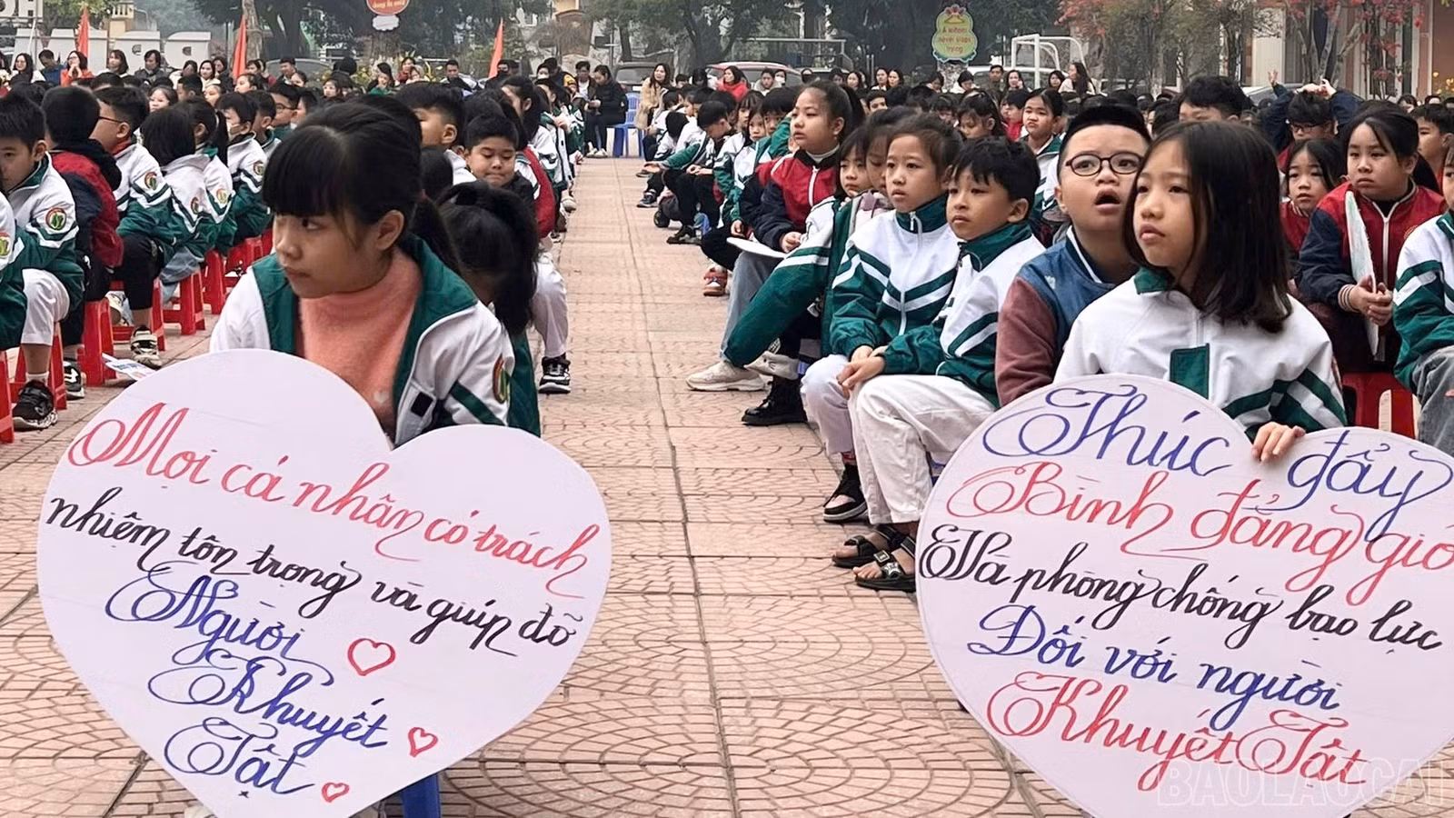 baolaocai-br_66267d3a-3073-49e5-a71a-e69f2d1cbbf9.jpg
