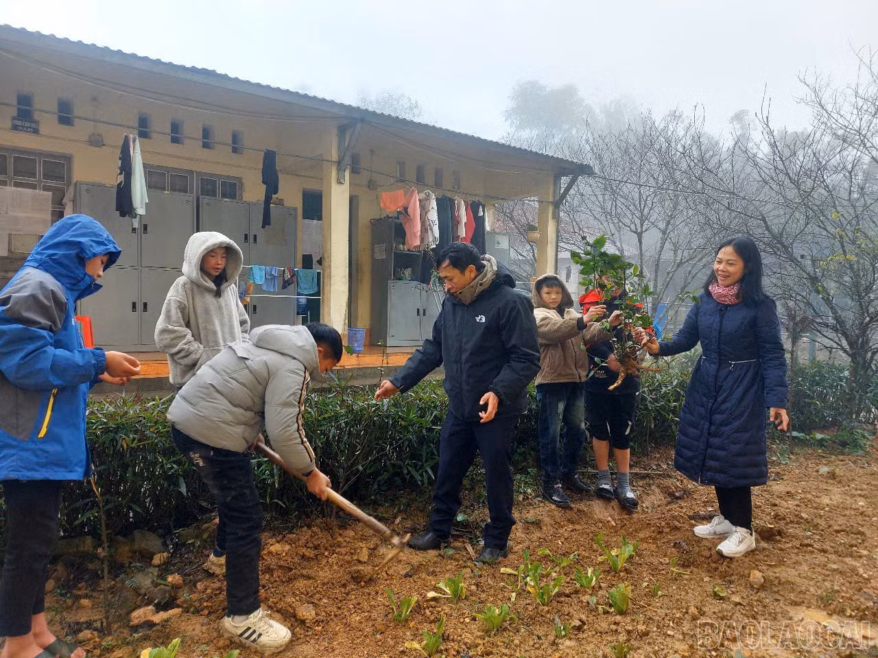 baolaocai-br_z6295010443917-0d94c7ec7fd4f5cf01d76331f4afe01e.jpg