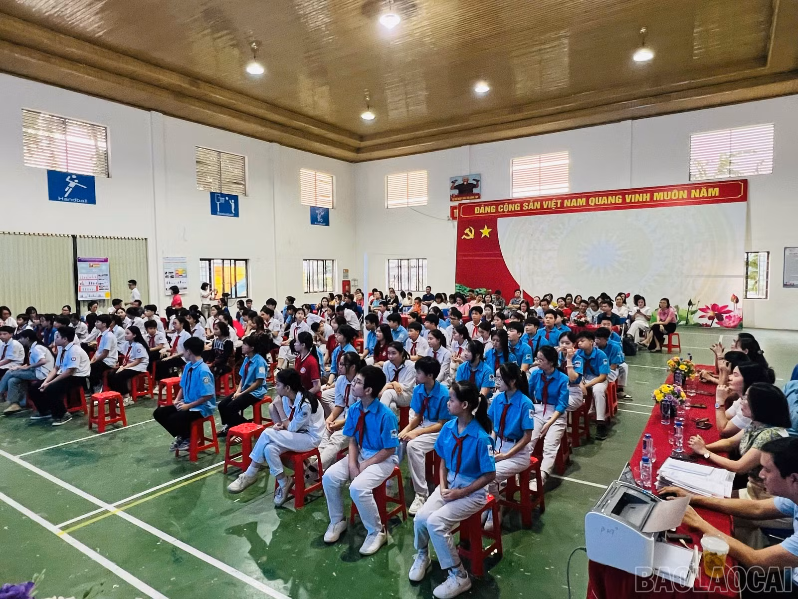 baolaocai-br_2366a444-e5d5-4ebe-b895-ac4b49dd7de3.jpg