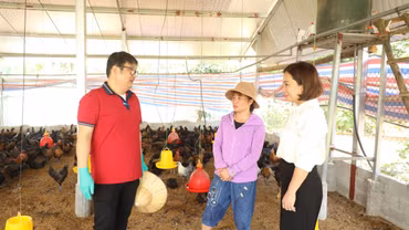 Siết chặt quản lý dịch bệnh trong chăn nuôi
