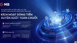 SME Việt gạt bỏ nỗi lo thiếu vốn khi tham gia chuỗi giá trị toàn cầu nhờ MB 