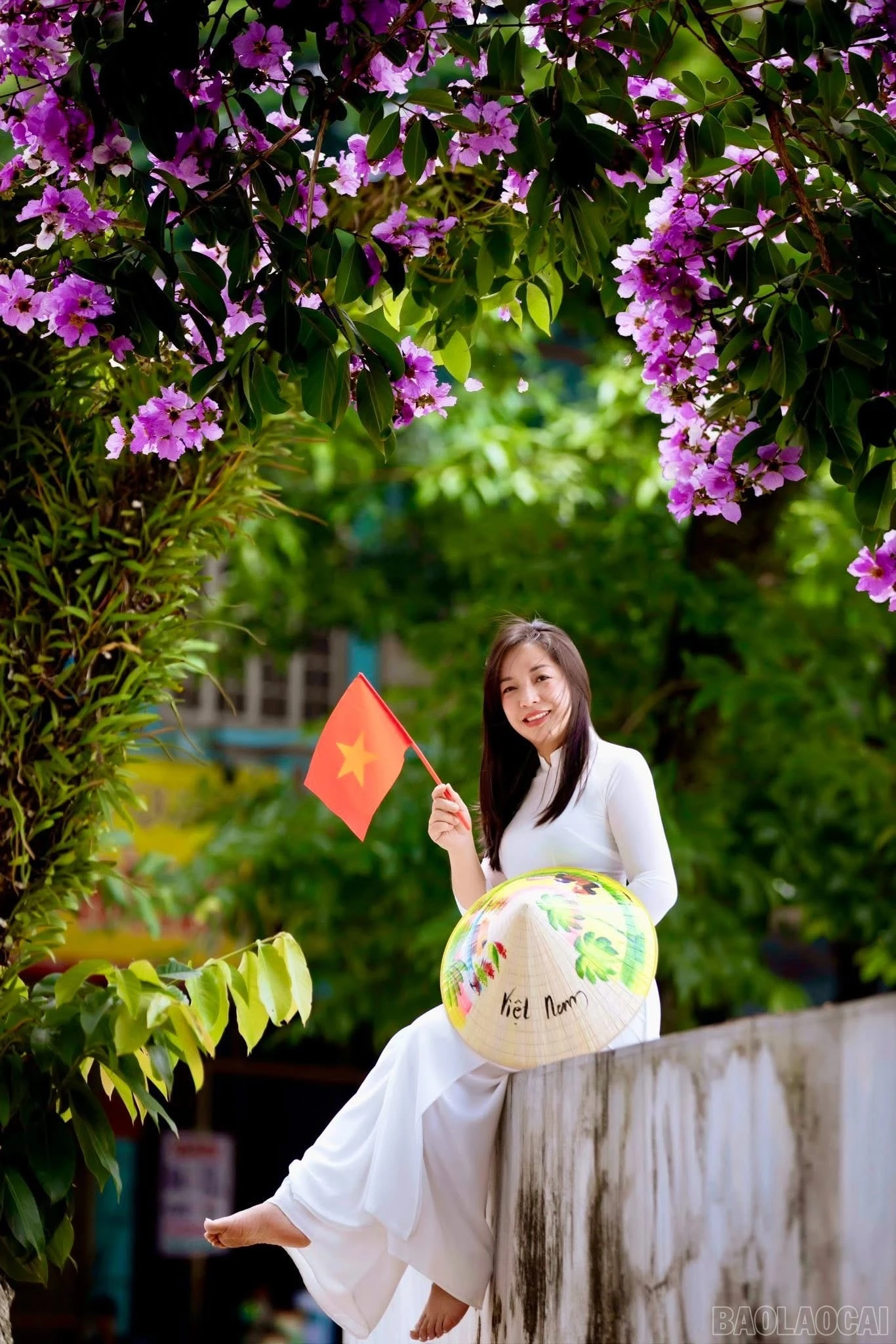 baolaocai-br_img-0364.jpg