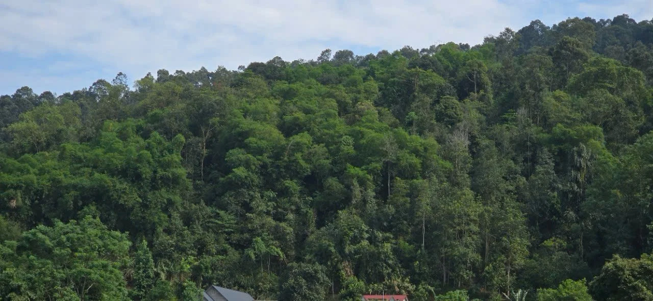 r2.jpg