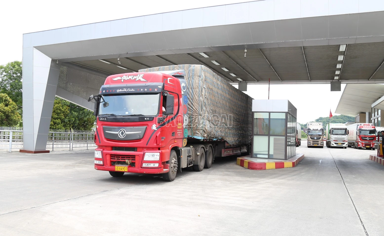 baolaocai-c_c1.jpg