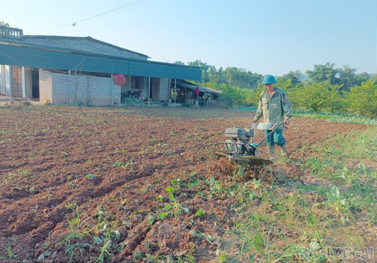 Người dân xã Thái Niên làm đất trồng rau vụ đông. baolaocai-br_b32.jpg