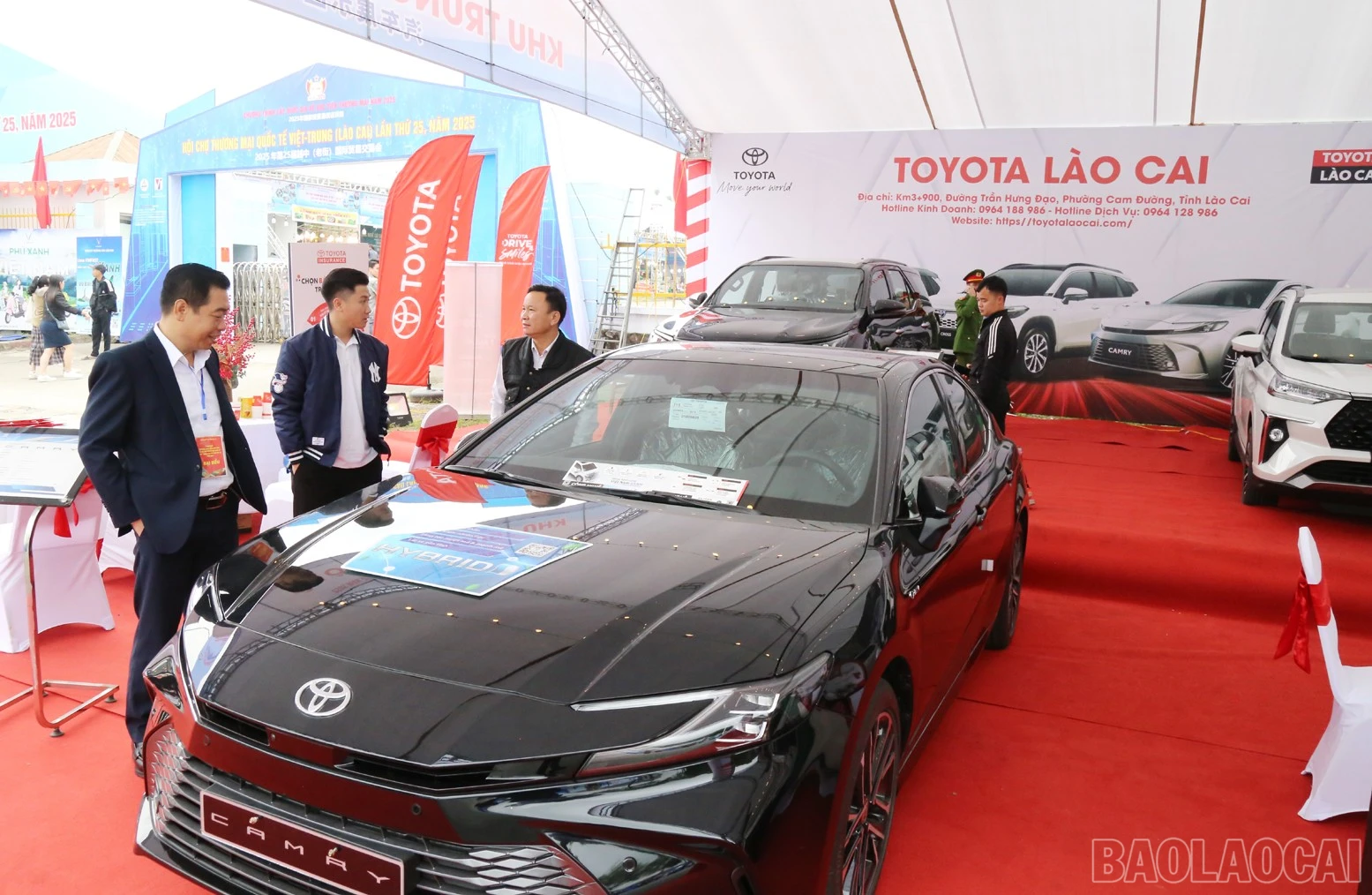 baolaocai-br_a1111.jpg