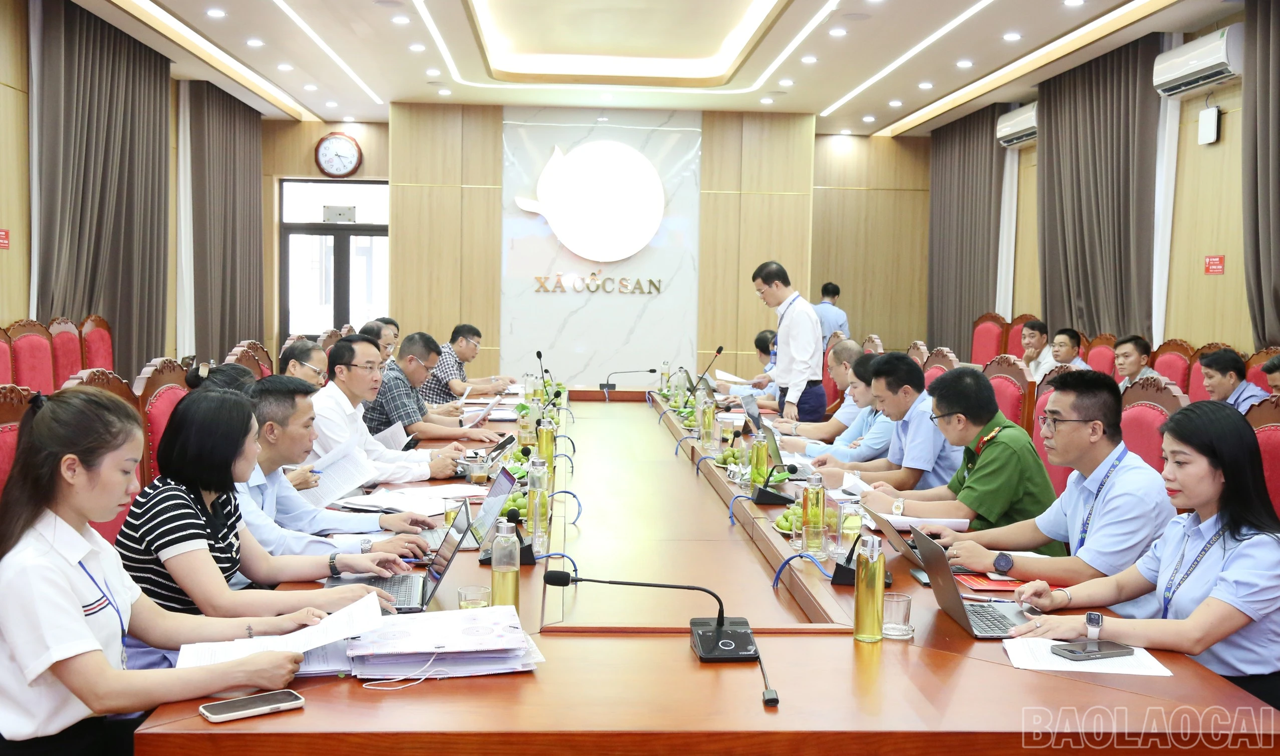 baolaocai-br_a.jpg