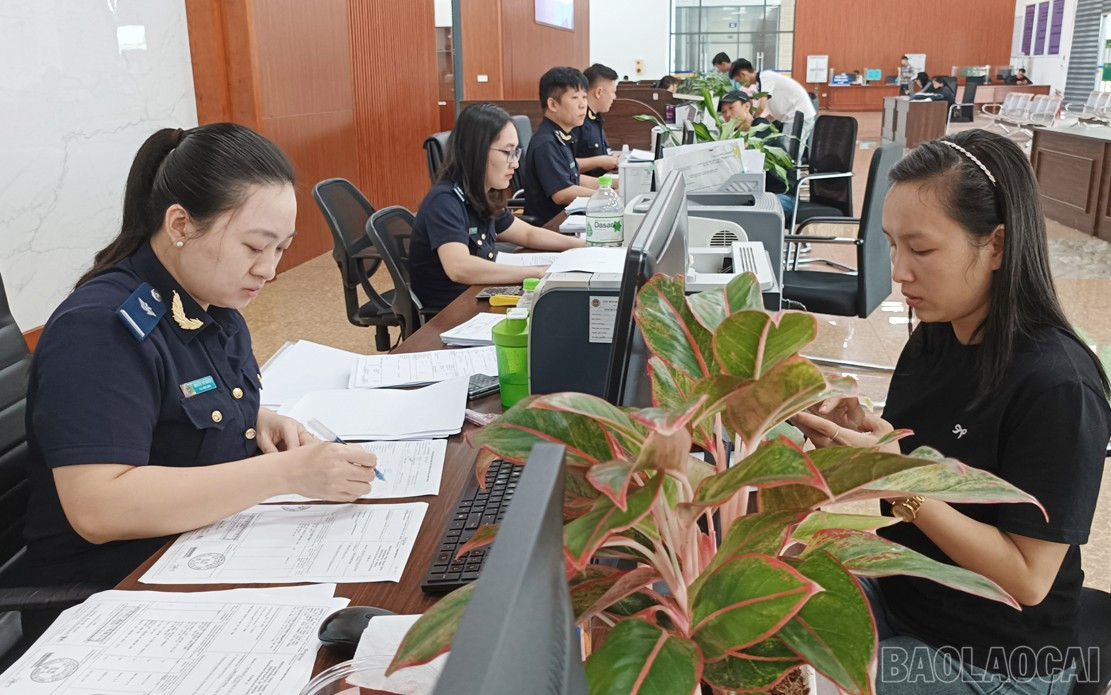 상품을 수출하고 수입하는 기업을 위한 통관 절차. baolaocai-br_hq1111.jpg