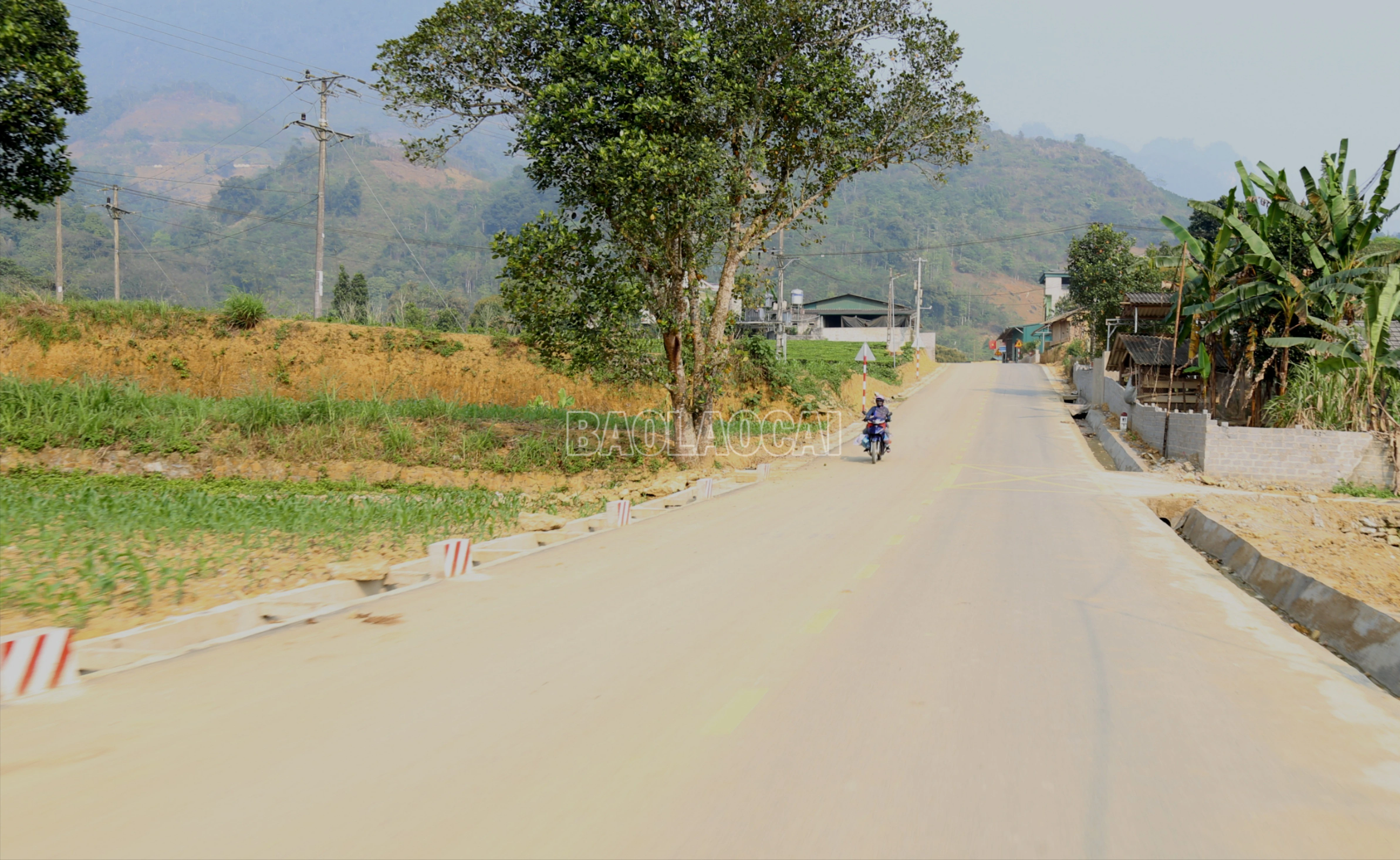 baolaocai-c_img-2773-9979.jpg