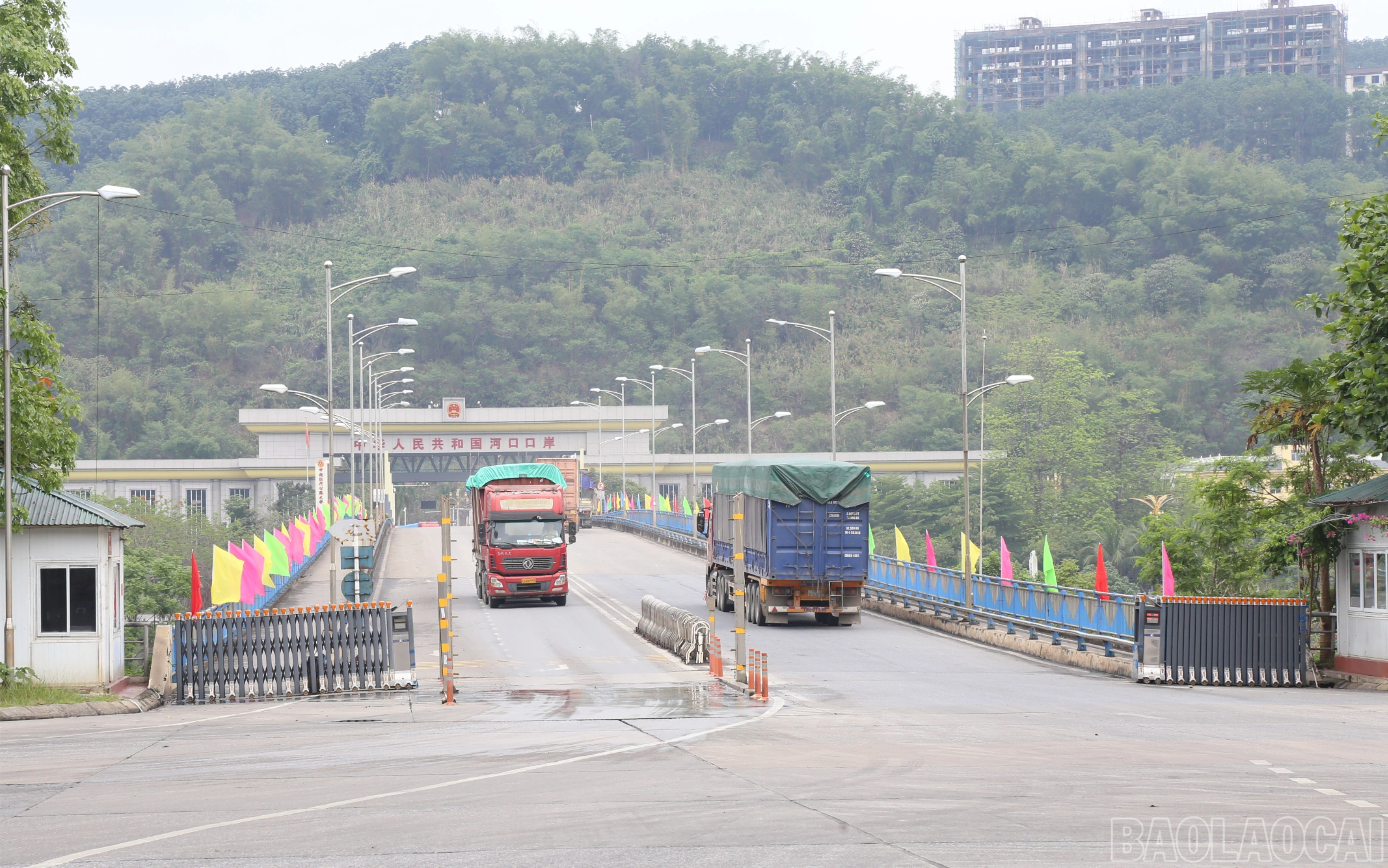 baolaocai-br_img-4084-3103.jpg