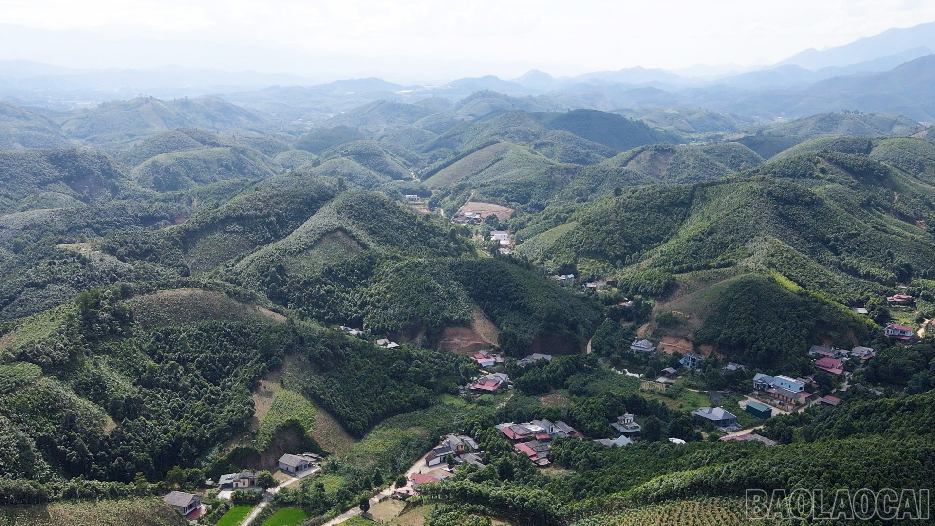 Nhiều ngôi nhà kiên cố, khang trang được xây dựng nhờ nguồn thu từ cây quế đã cho thấy hiệu quả kinh tế bền vững của loại cây này.