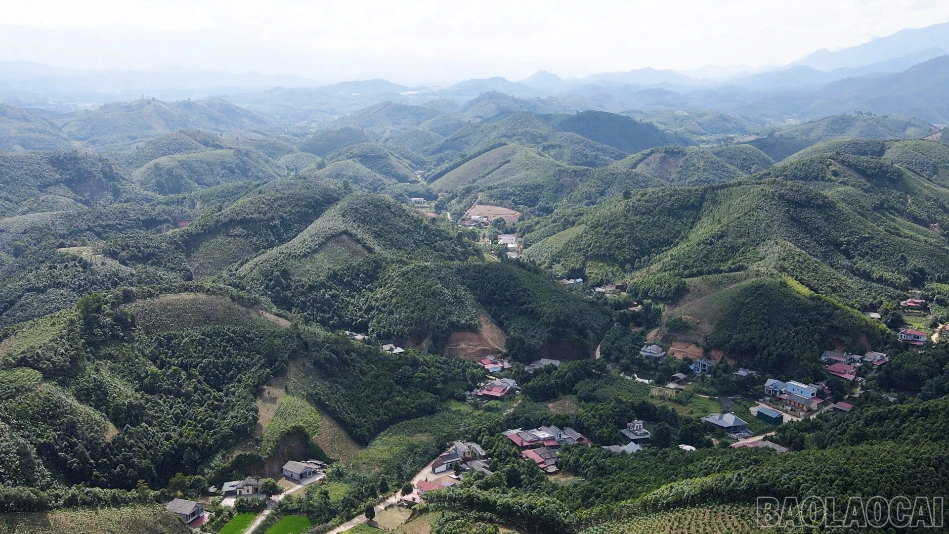 Nhiều ngôi nhà kiên cố, khang trang được xây dựng nhờ nguồn thu từ cây quế đã cho thấy hiệu quả kinh tế bền vững của loại cây này.