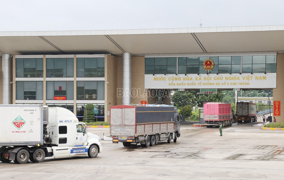 Hiện đang bước vào cuối vụ vải, nên mỗi ngày chỉ có gần 200 tấn quả vải tươi xuất khẩu qua Cửa khẩu Lào Cai. baolaocai-c_a1.jpg