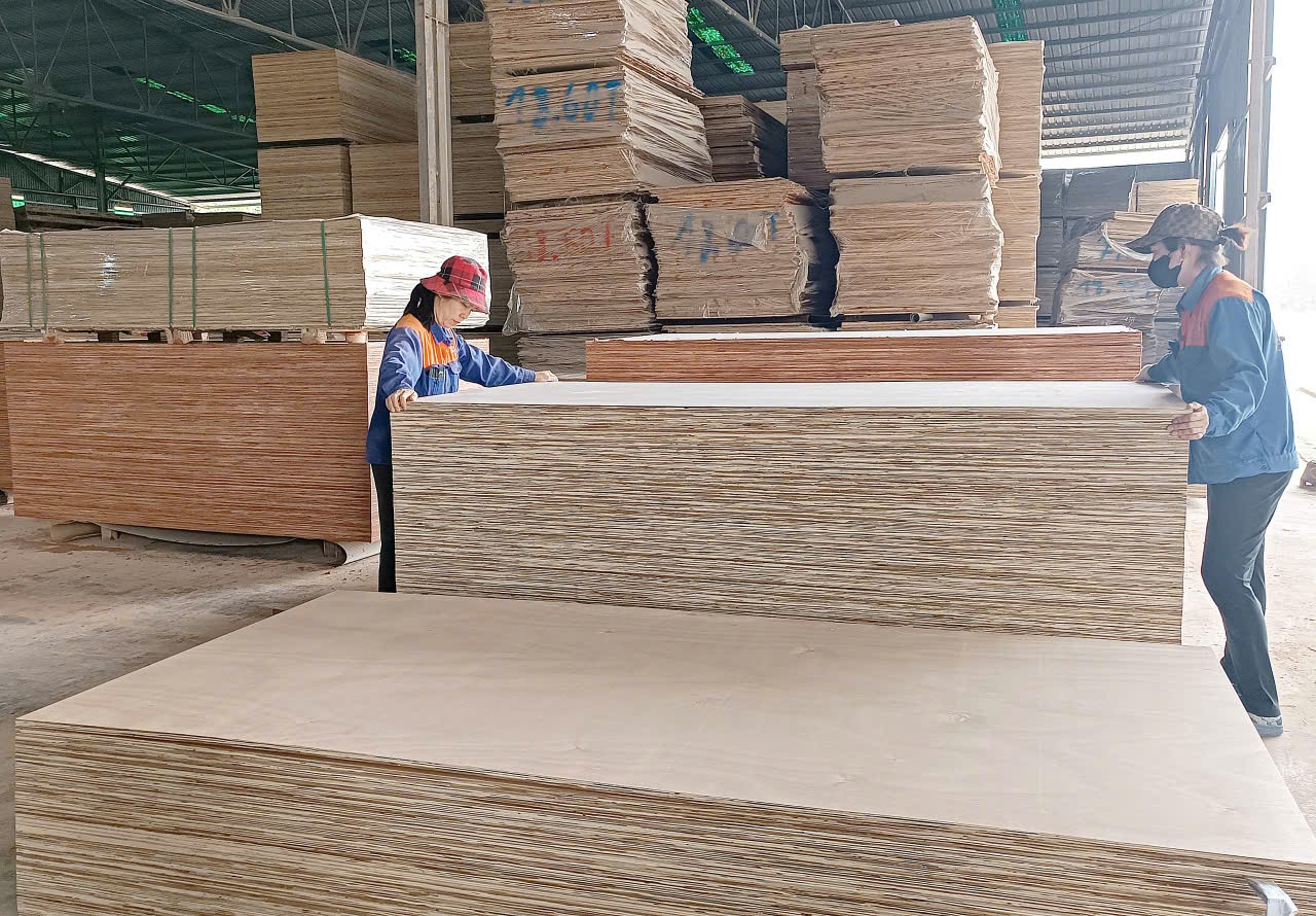 Nhiều doanh nghiệp trên địa bàn tỉnh phát triển nghề chế biến sản phẩm từ gỗ rừng. a12.jpg