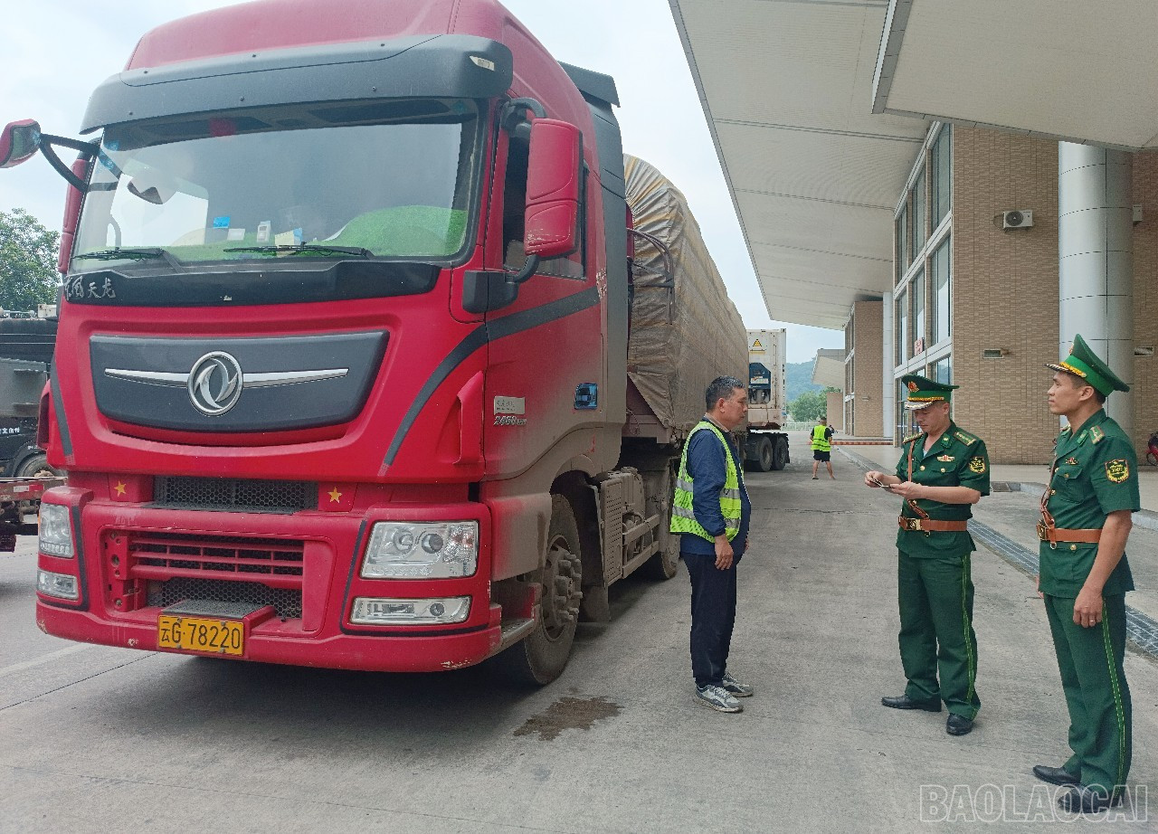 Kiểm tra hoạt động xuất - nhập cảnh, xuất - nhập khẩu tại Cửa khẩu Quốc tế đường bộ số II Kim Thành. baolaocai-br_a3.jpg