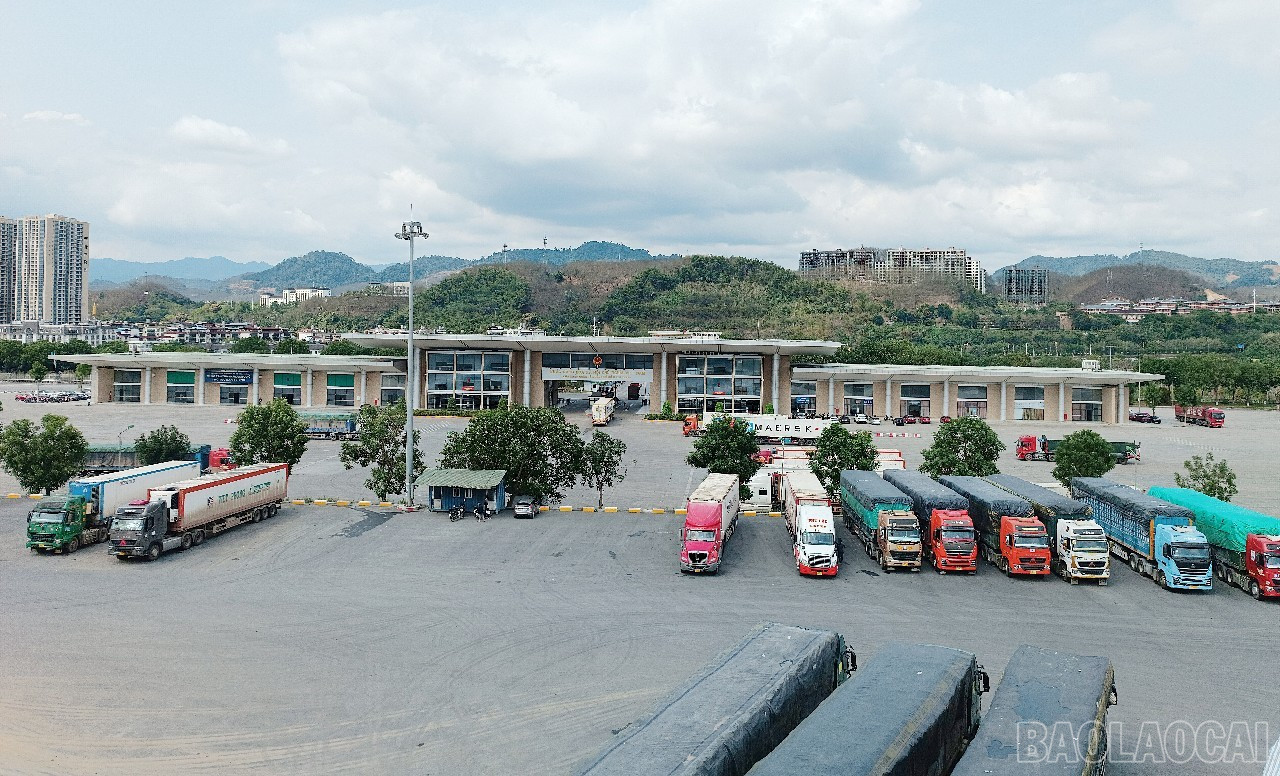 Hoạt động xuất - nhập khẩu hàng hóa qua Cửa khẩu Kim Thành. baolaocai-br_hq.jpg