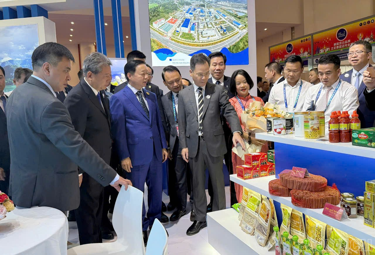 baolaocai-br_t11.jpg