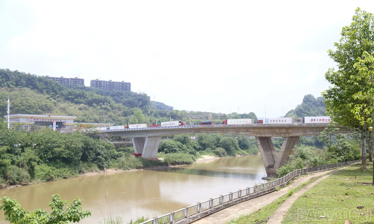 baolaocai-br_a6.jpg
