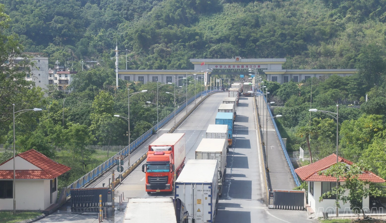 baolaocai-br_a2.jpg