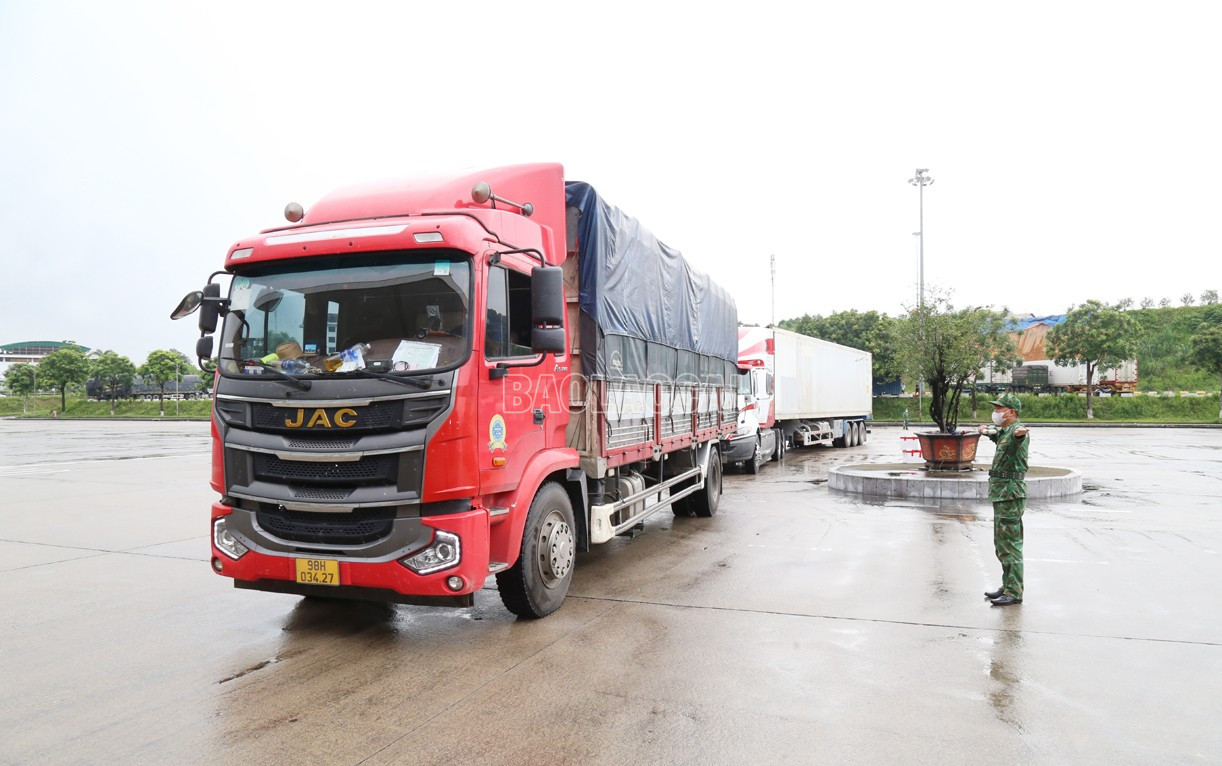 Lực lượng chức năng phân luồng ưu tiên xuất khẩu hàng nông sản trong buổi sáng trong ngày. baolaocai-c_x1.jpg