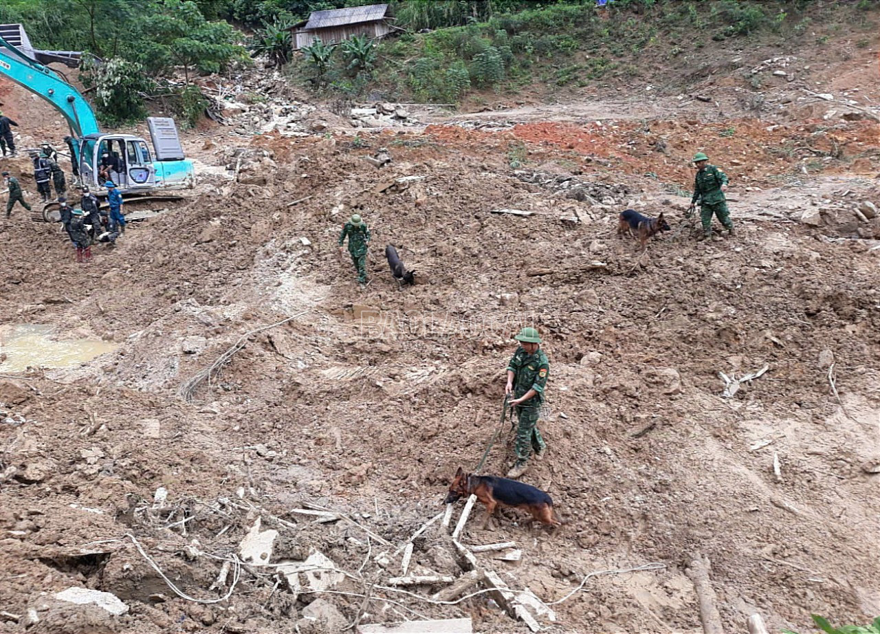 Chó nghiệp vụ được huy động tham gia tìm kiếm người mất tích ở thôn Nậm Tông. T8.jpg