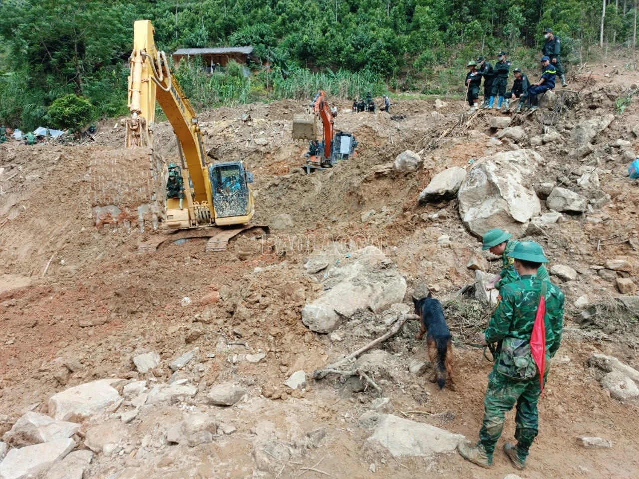 Chó nghiệp vụ được đưa vào “tác nghiệp”.