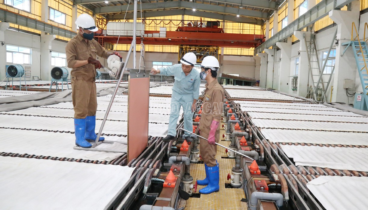 Hoạt động sản xuất, kinh doanh của các doanh nghiệp sản xuất công nghiệp duy trì ổn định, đóng góp vào nguồn thu ngân sách của tỉnh. baolaocai-c_h4.jpg